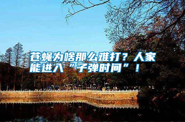 蒼蠅為啥那么難打？人家能進(jìn)入“子彈時間”！
