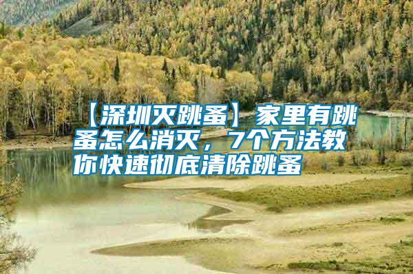 【深圳滅跳蚤】家里有跳蚤怎么消滅，7個(gè)方法教你快速徹底清除跳蚤
