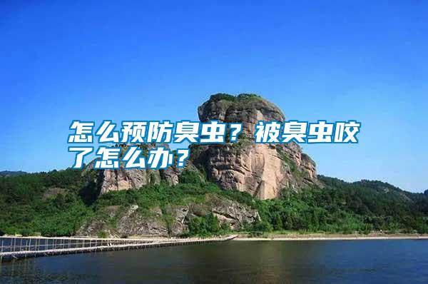 怎么預(yù)防臭蟲？被臭蟲咬了怎么辦？