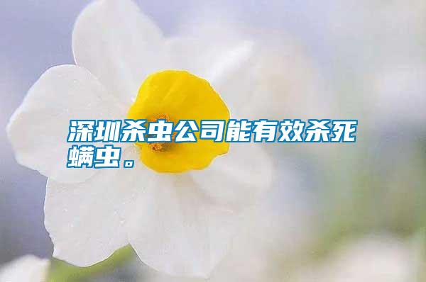 深圳殺蟲公司能有效殺死螨蟲。