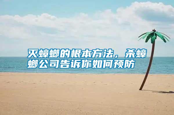 滅蟑螂的根本方法，殺蟑螂公司告訴你如何預防