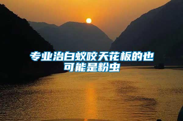 專業治白蟻咬天花板的也可能是粉蟲