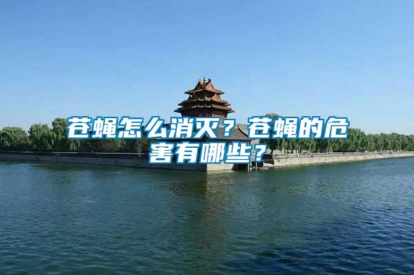 蒼蠅怎么消滅？蒼蠅的危害有哪些？