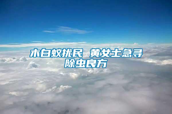 木白蟻擾民 黃女士急尋除蟲(chóng)良方