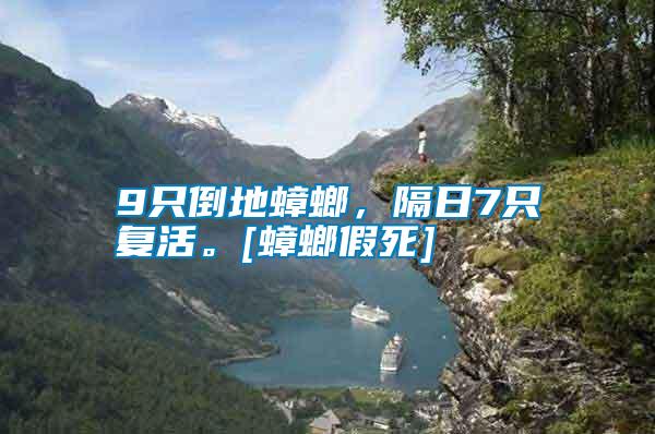 9只倒地蟑螂，隔日7只復活。[蟑螂假死]