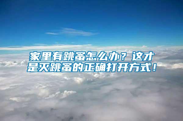家里有跳蚤怎么辦？這才是滅跳蚤的正確打開(kāi)方式！