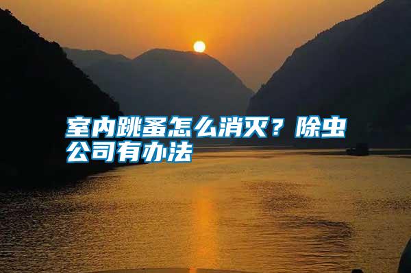 室內跳蚤怎么消滅？除蟲公司有辦法