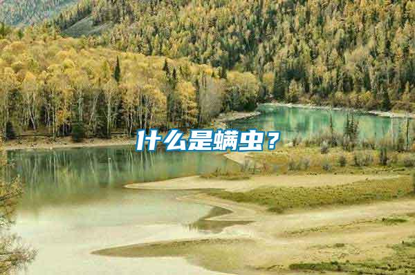 什么是螨蟲？
