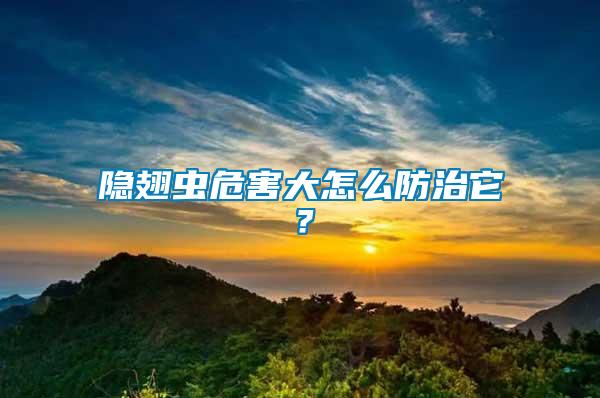 隱翅蟲危害大怎么防治它？