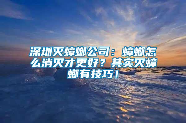 深圳滅蟑螂公司：蟑螂怎么消滅才更好？其實滅蟑螂有技巧！