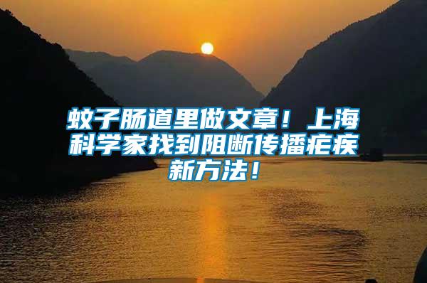 蚊子腸道里做文章！上海科學(xué)家找到阻斷傳播瘧疾新方法！