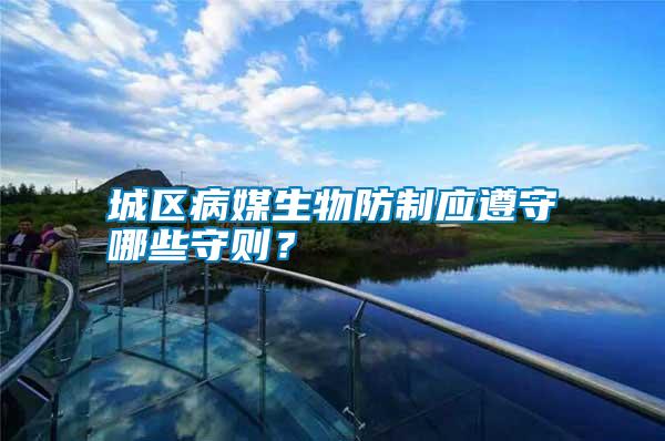 城區病媒生物防制應遵守哪些守則？