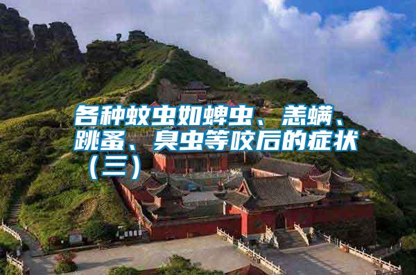 各種蚊蟲如蜱蟲、恙螨、跳蚤、臭蟲等咬后的癥狀（三）