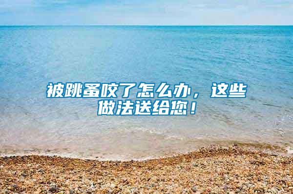被跳蚤咬了怎么辦，這些做法送給您！
