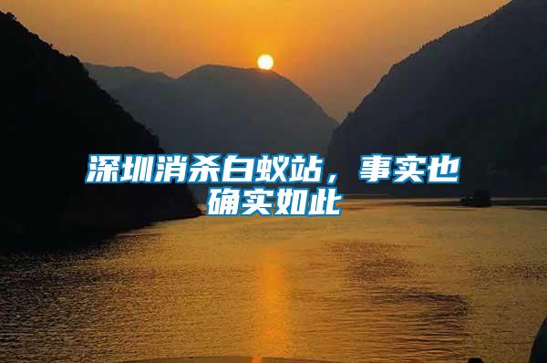 深圳消殺白蟻站，事實也確實如此