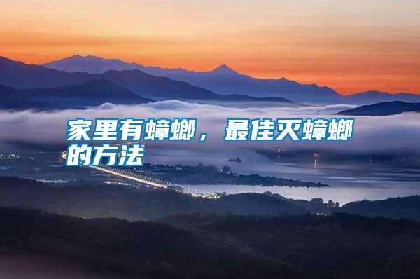 家里有蟑螂，最佳滅蟑螂的方法