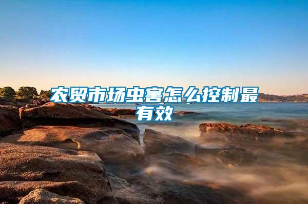 農貿市場蟲害怎么控制最有效