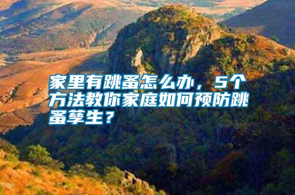 家里有跳蚤怎么辦，5個(gè)方法教你家庭如何預(yù)防跳蚤孳生？