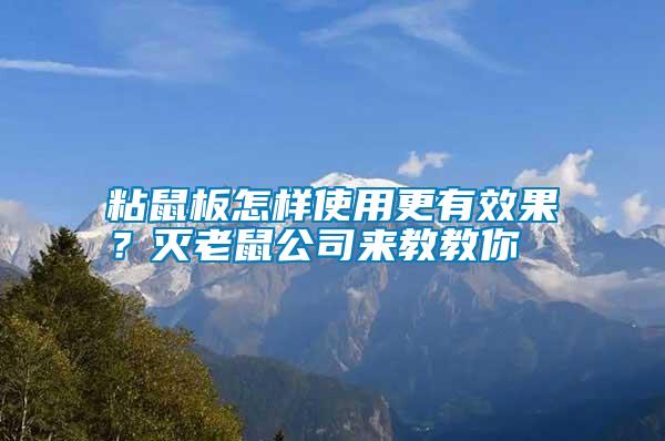 粘鼠板怎樣使用更有效果？滅老鼠公司來(lái)教教你