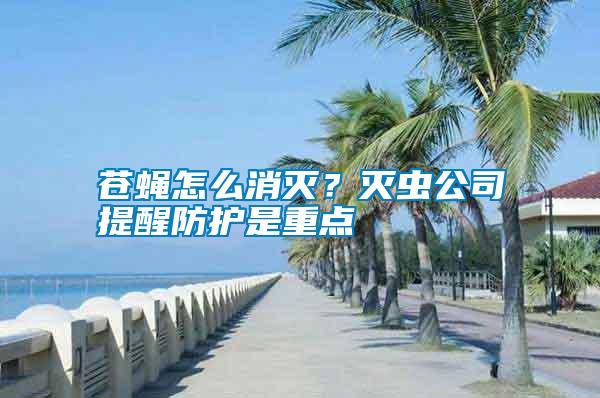 蒼蠅怎么消滅？滅蟲公司提醒防護(hù)是重點(diǎn)