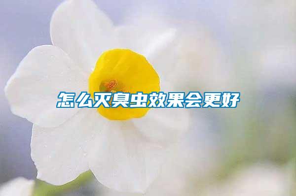 怎么滅臭蟲(chóng)效果會(huì)更好