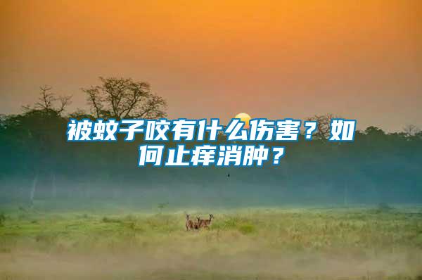 被蚊子咬有什么傷害？如何止癢消腫？