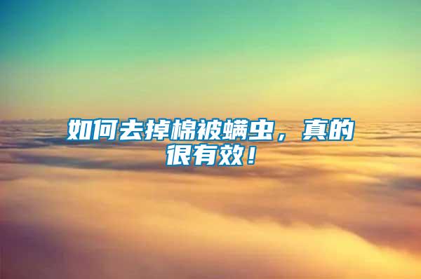 如何去掉棉被螨蟲，真的很有效！