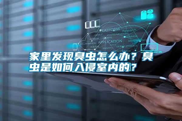 家里發現臭蟲怎么辦？臭蟲是如何入侵室內的？