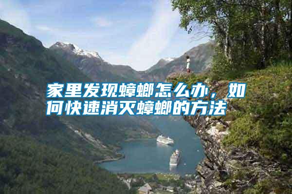 家里發(fā)現(xiàn)蟑螂怎么辦，如何快速消滅蟑螂的方法