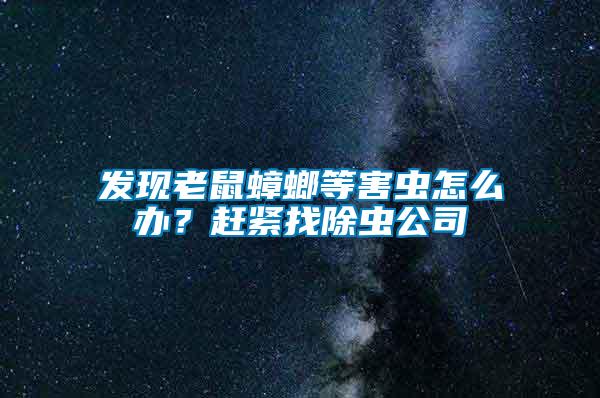 發(fā)現(xiàn)老鼠蟑螂等害蟲(chóng)怎么辦？趕緊找除蟲(chóng)公司