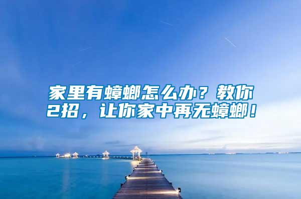 家里有蟑螂怎么辦？教你2招，讓你家中再無蟑螂！