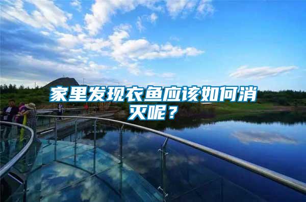 家里發(fā)現(xiàn)衣魚(yú)應(yīng)該如何消滅呢？