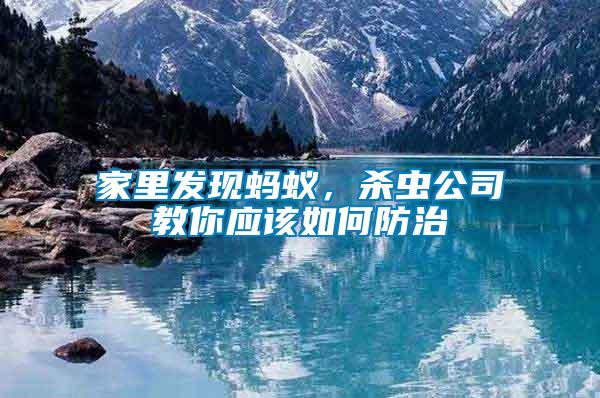 家里發(fā)現(xiàn)螞蟻，殺蟲公司教你應該如何防治