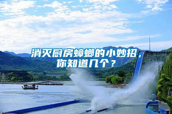 消滅廚房蟑螂的小妙招，你知道幾個？