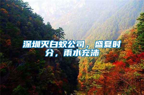 深圳滅白蟻公司，盛夏時分，雨水充沛