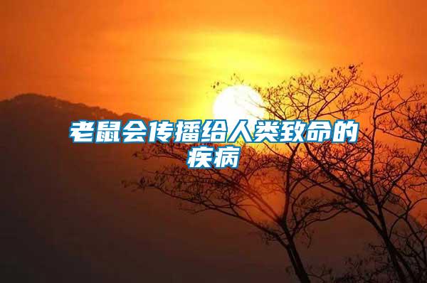 老鼠會(huì)傳播給人類致命的疾病