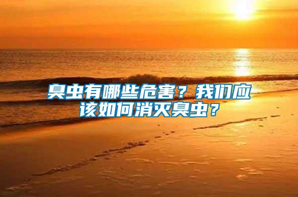 臭蟲有哪些危害？我們應該如何消滅臭蟲？