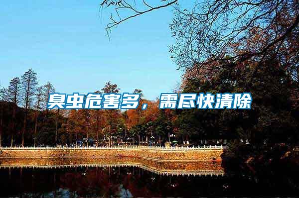 臭蟲危害多，需盡快清除