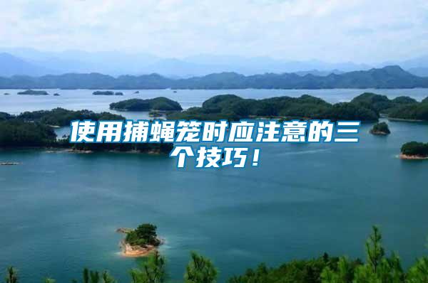 使用捕蠅籠時應注意的三個技巧！