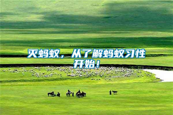 滅螞蟻，從了解螞蟻習性開始！