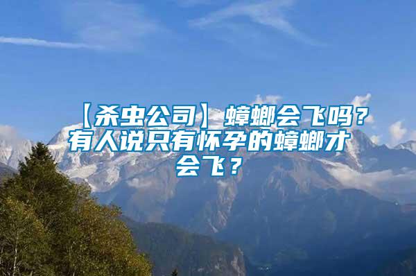 【殺蟲公司】蟑螂會飛嗎？有人說只有懷孕的蟑螂才會飛？