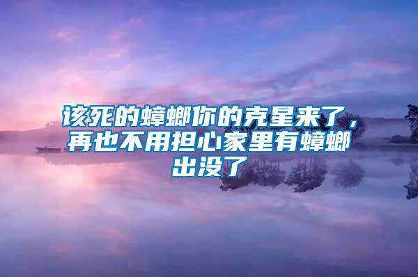 該死的蟑螂你的克星來了，再也不用擔心家里有蟑螂出沒了