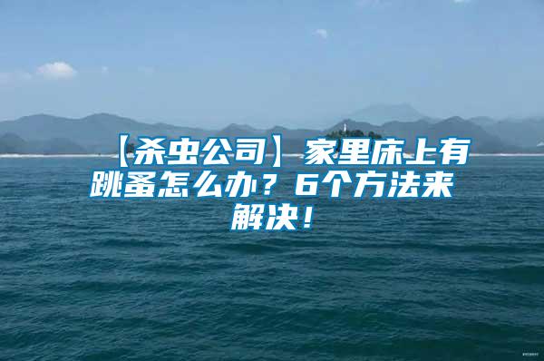 【殺蟲公司】家里床上有跳蚤怎么辦？6個方法來解決！