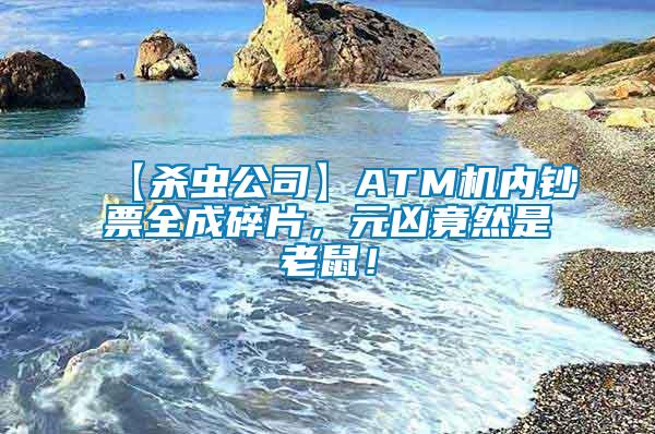 【殺蟲公司】ATM機(jī)內(nèi)鈔票全成碎片，元兇竟然是老鼠！