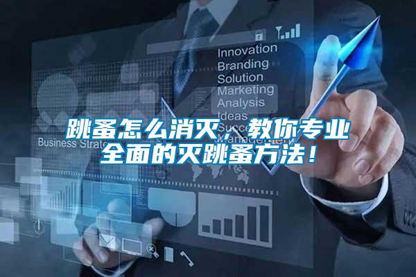 跳蚤怎么消滅，教你專業全面的滅跳蚤方法！