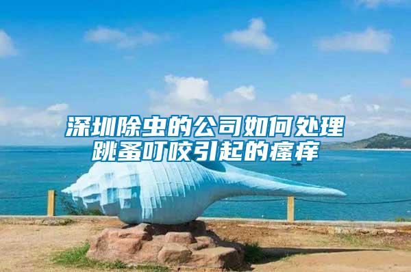 深圳除蟲(chóng)的公司如何處理跳蚤叮咬引起的瘙癢