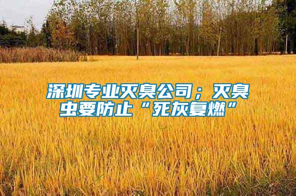 深圳專(zhuān)業(yè)滅臭公司；滅臭蟲(chóng)要防止“死灰復(fù)燃”
