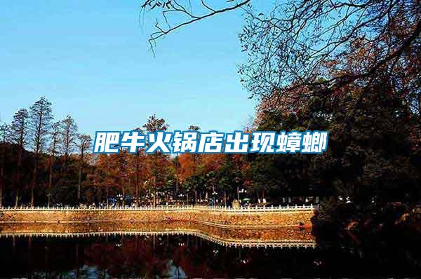 肥?；疱伒瓿霈F蟑螂