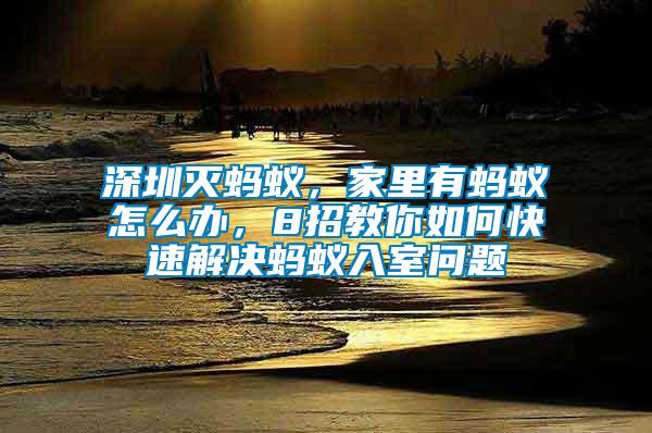 深圳滅螞蟻，家里有螞蟻怎么辦，8招教你如何快速解決螞蟻入室問題