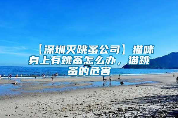 【深圳滅跳蚤公司】貓咪身上有跳蚤怎么辦，貓?zhí)榈奈：?/></p>
             <p style=